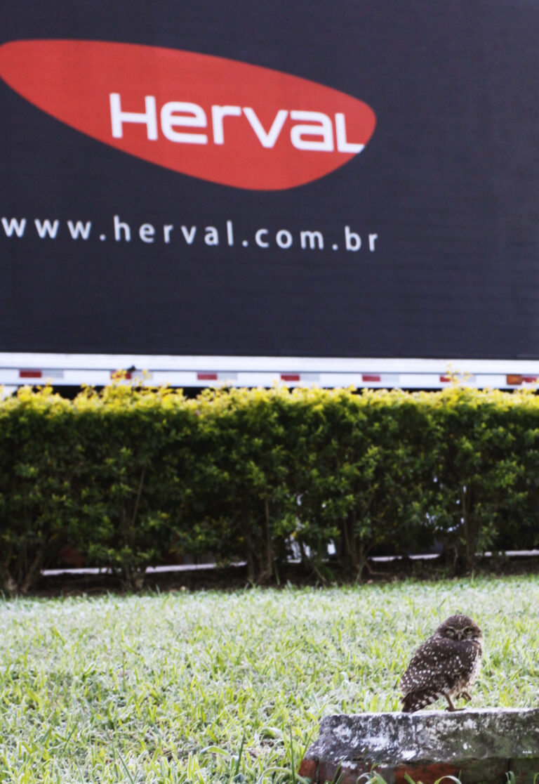 Geada HERVAL_Julho 2013_0