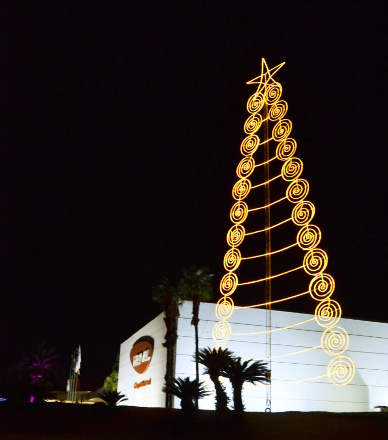 fachada com árvore de Natal (8)